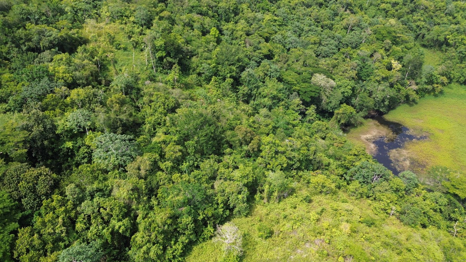 Thirteenth image of Warwick Castle in Gayle, St. Mary, Jamaica - property is For Sale