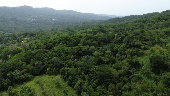 Sixteenth image of Warwick Castle in Gayle, St. Mary, Jamaica - property is For Sale