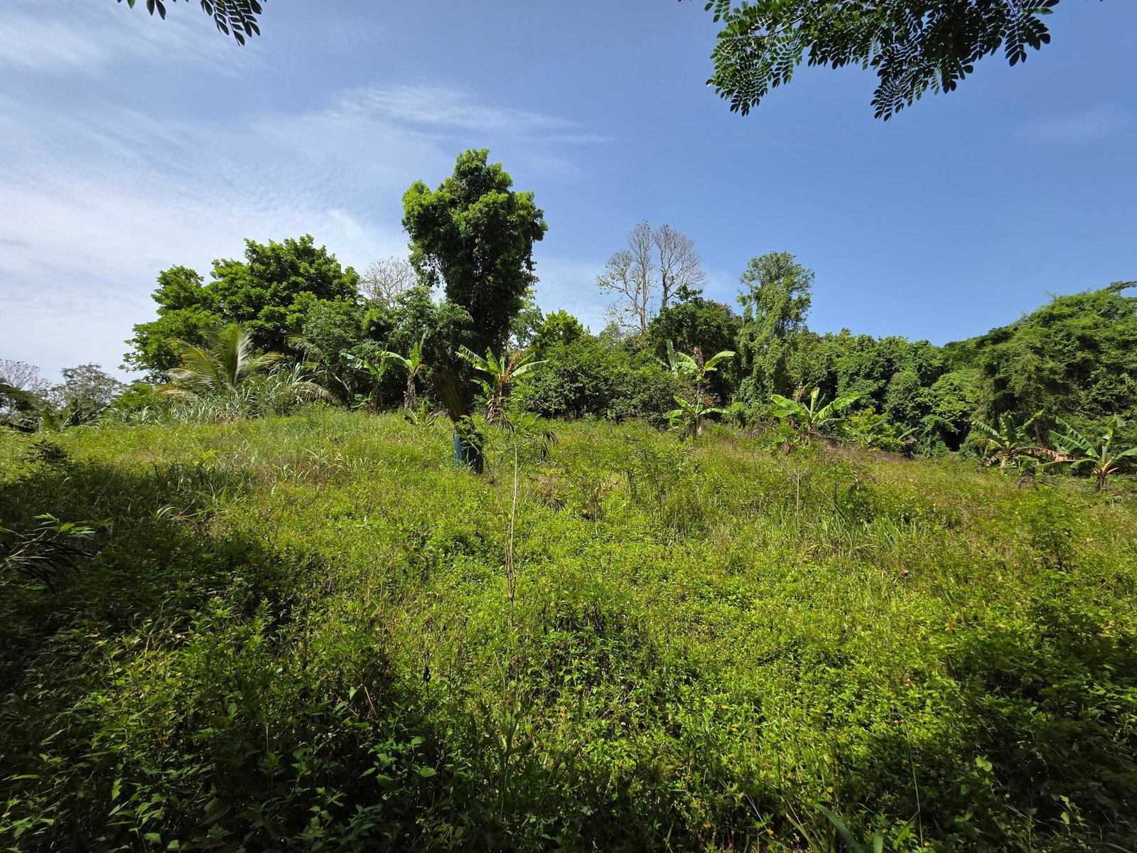 Second image of Warwick Castle in Gayle, St. Mary, Jamaica - property is For Sale