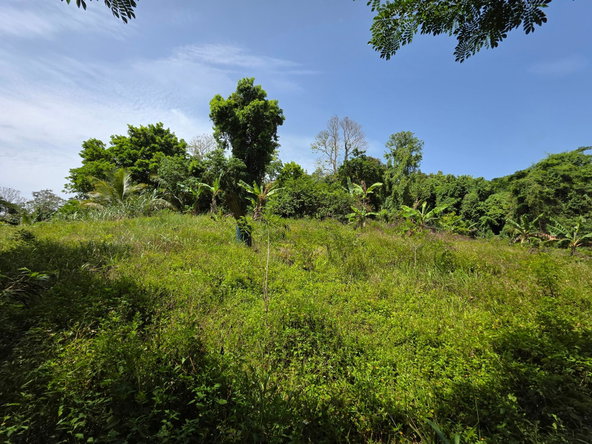 Second image of Warwick Castle in Gayle, St. Mary, Jamaica - property is For Sale