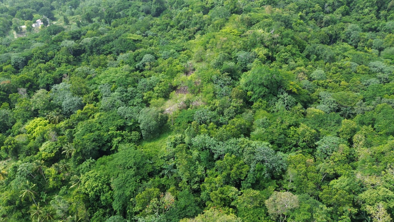 Twentieth image of Warwick Castle in Gayle, St. Mary, Jamaica - property is For Sale