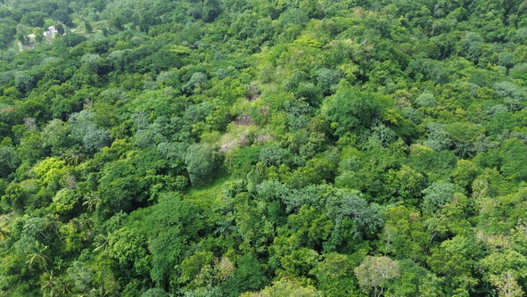 Twentieth image of Warwick Castle in Gayle, St. Mary, Jamaica - property is For Sale