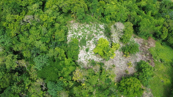 Twenty-First image of Warwick Castle in Gayle, St. Mary, Jamaica - property is For Sale