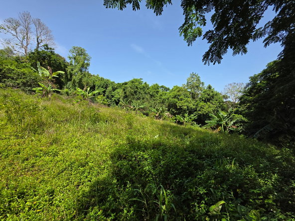 Third image of Warwick Castle in Gayle, St. Mary, Jamaica - property is For Sale