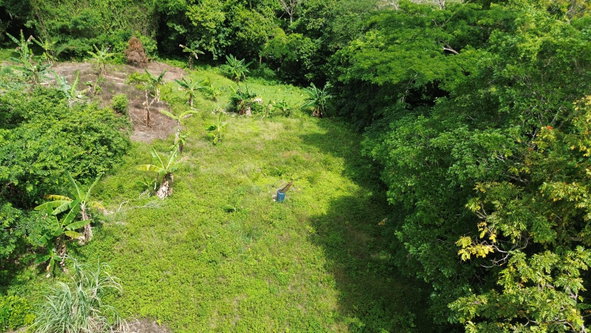 Fifth image of Warwick Castle in Gayle, St. Mary, Jamaica - property is For Sale