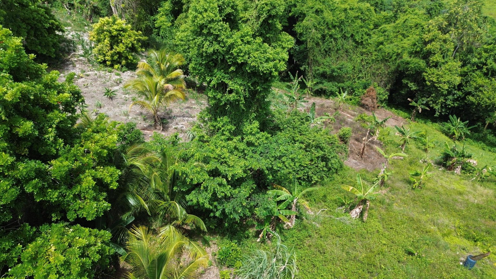 Sixth image of Warwick Castle in Gayle, St. Mary, Jamaica - property is For Sale