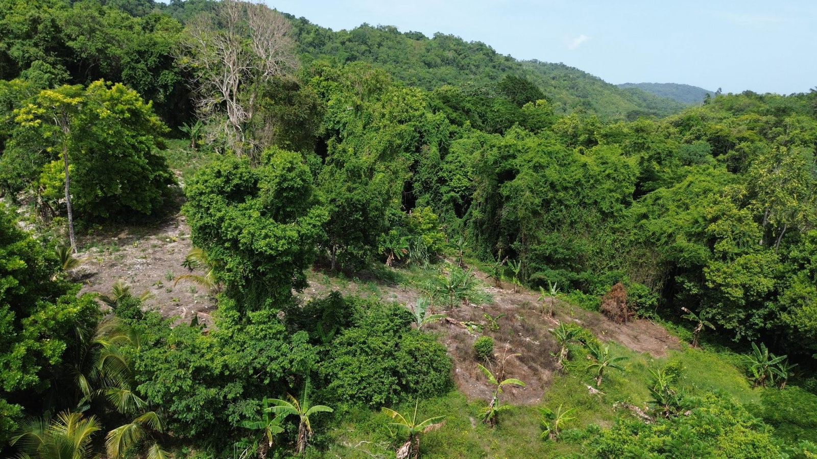 Seventh image of Warwick Castle in Gayle, St. Mary, Jamaica - property is For Sale