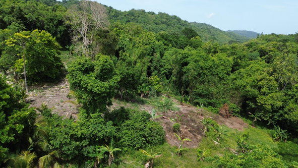 Seventh image of Warwick Castle in Gayle, St. Mary, Jamaica - property is For Sale