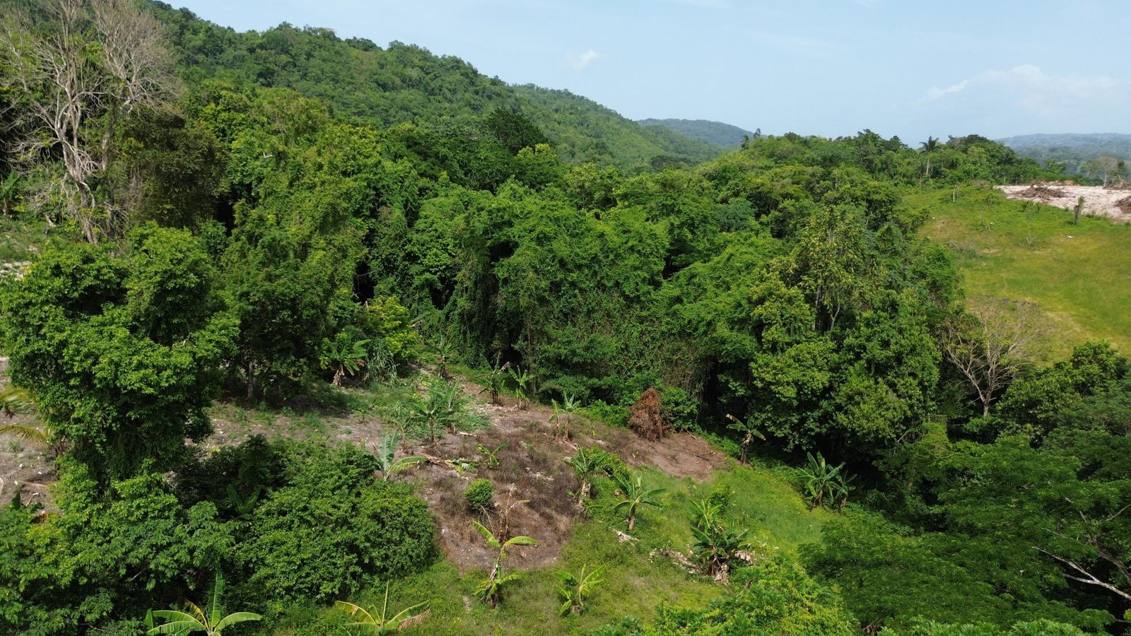 Eighth image of Warwick Castle in Gayle, St. Mary, Jamaica - property is For Sale