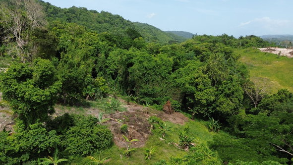 Eighth image of Warwick Castle in Gayle, St. Mary, Jamaica - property is For Sale