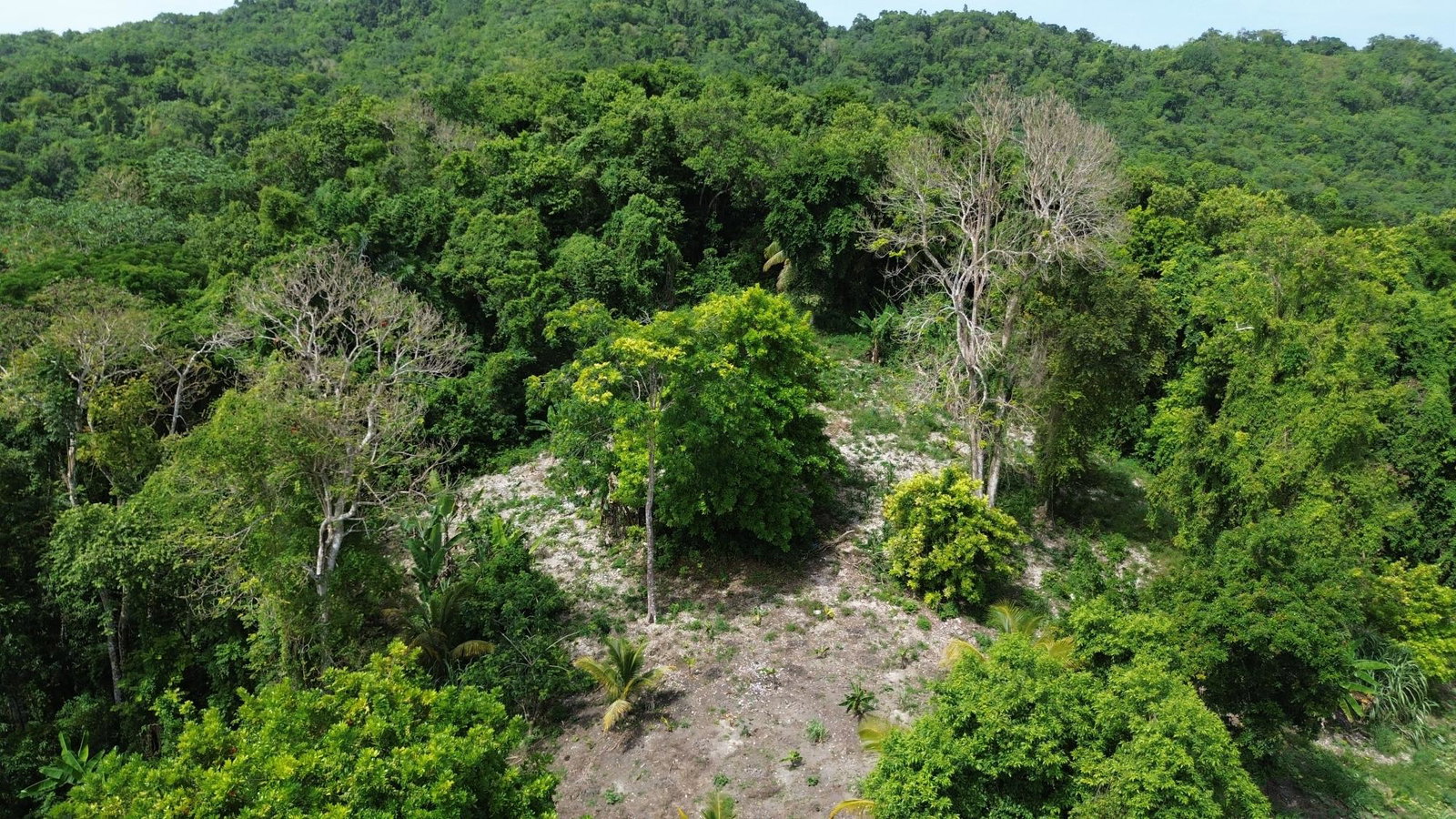 Ninth image of Warwick Castle in Gayle, St. Mary, Jamaica - property is For Sale