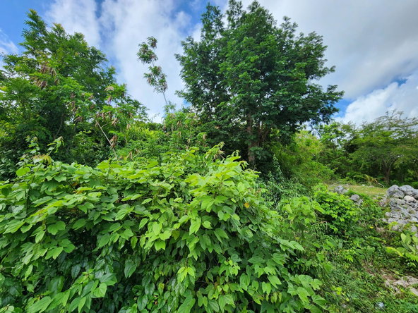 Tenth image of 349 Hillview Terrace in Williamsfield, Manchester, Jamaica - property is For Sale