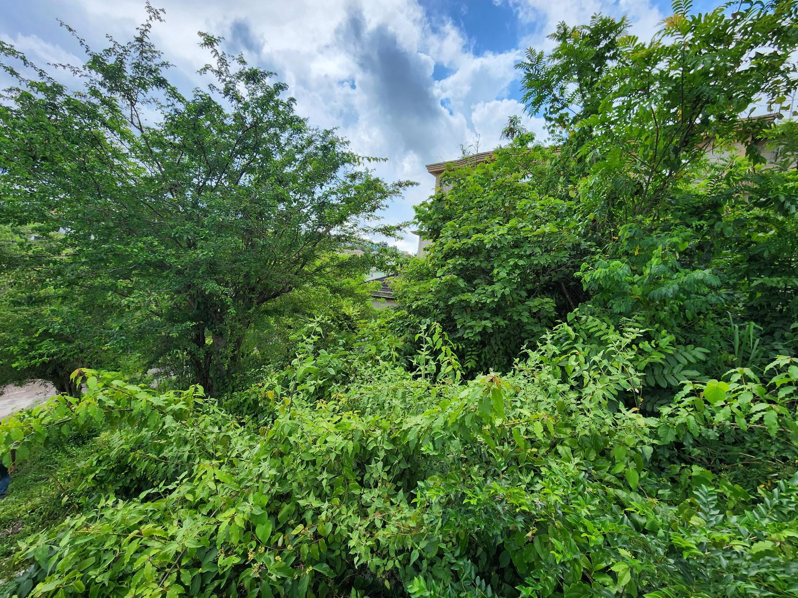 Eleventh image of 349 Hillview Terrace in Williamsfield, Manchester, Jamaica - property is For Sale