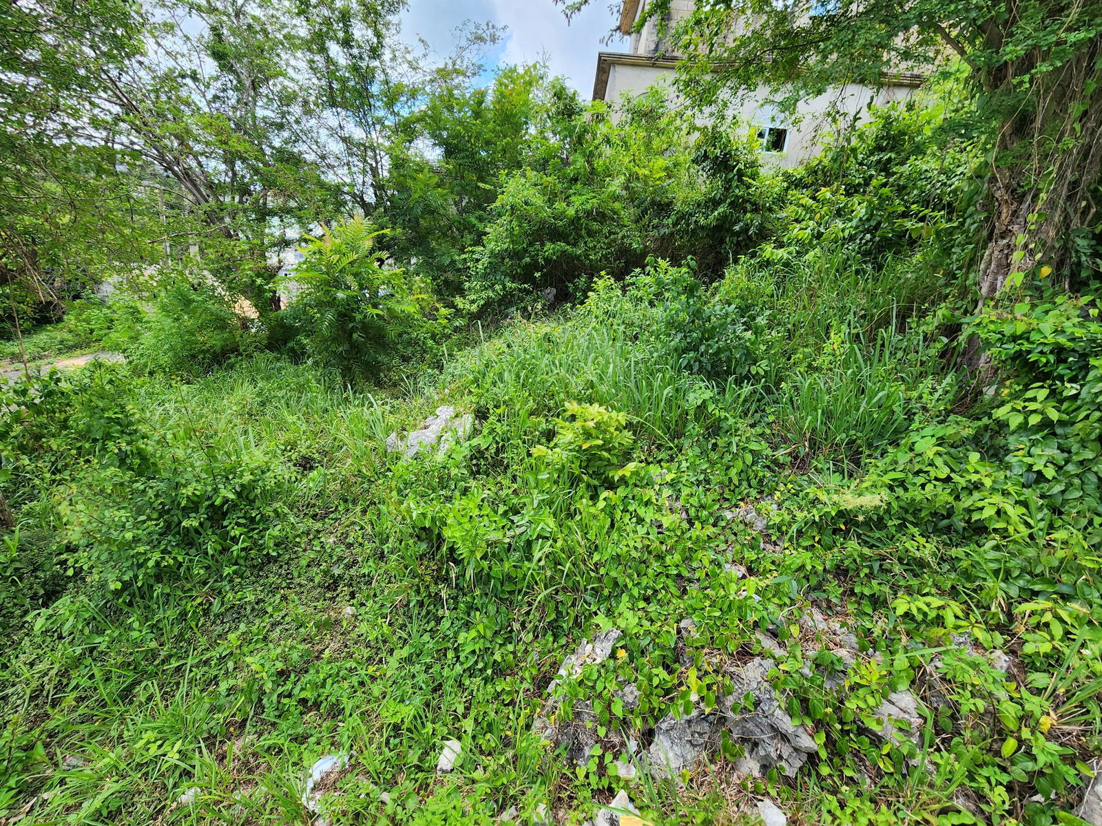 Fourth image of 349 Hillview Terrace in Williamsfield, Manchester, Jamaica - property is For Sale