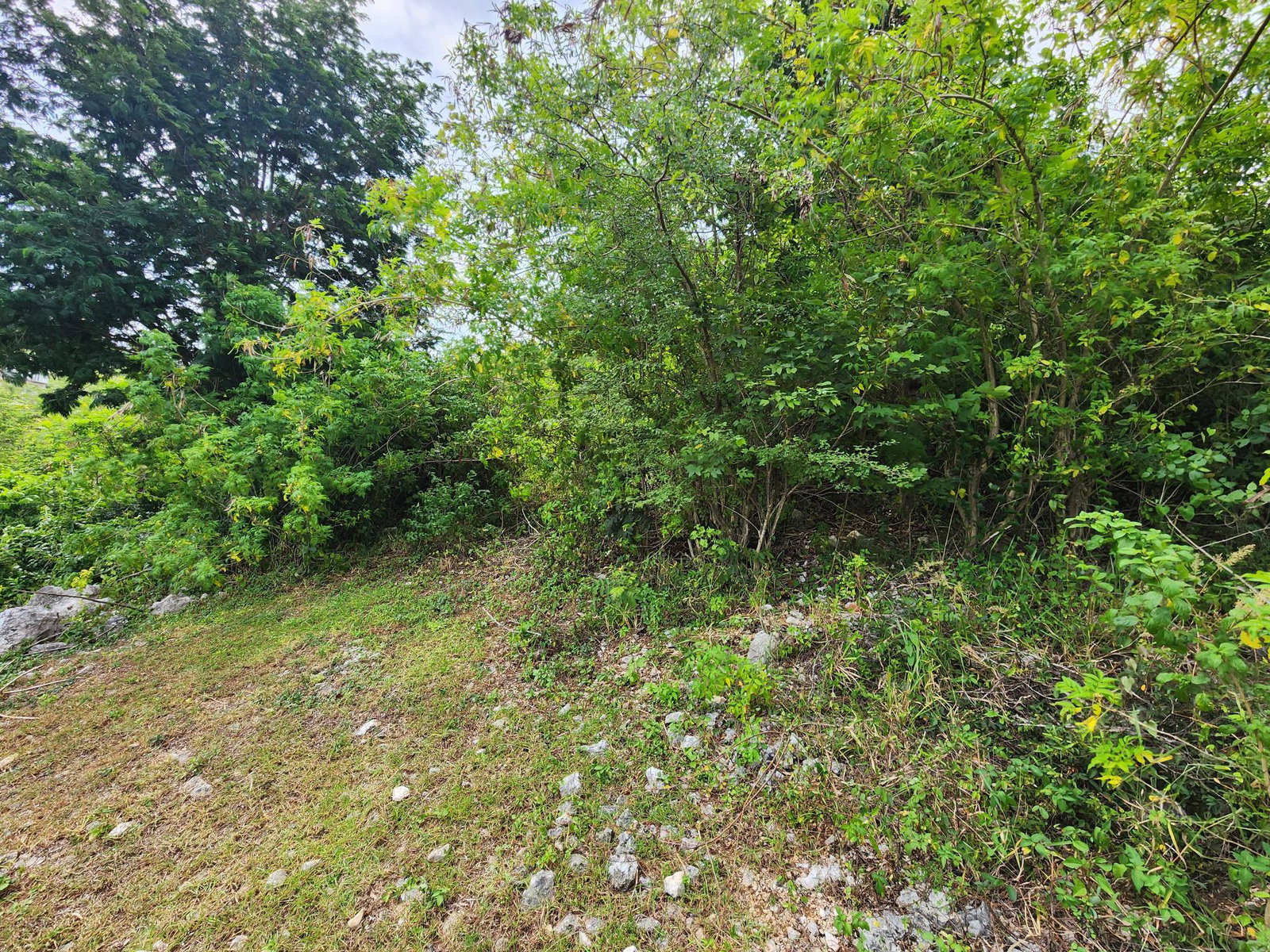 Sixth image of 349 Hillview Terrace in Williamsfield, Manchester, Jamaica - property is For Sale