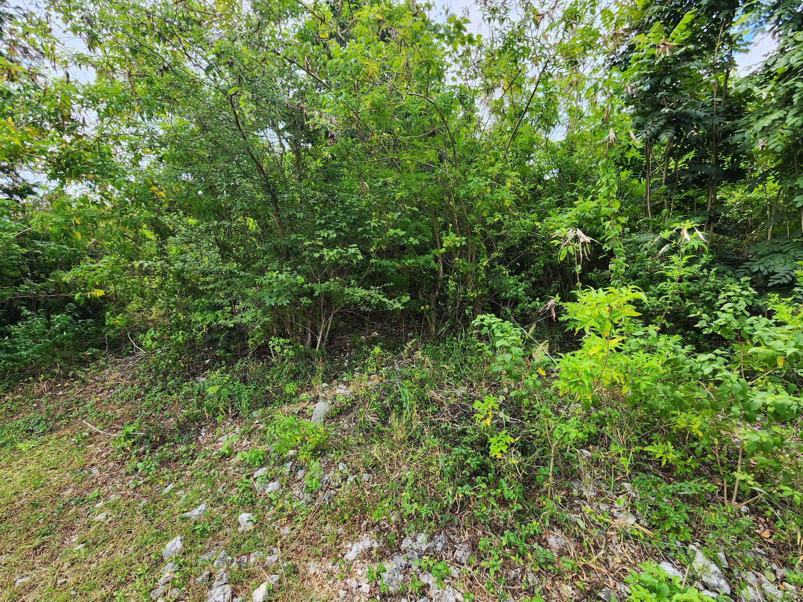 Seventh image of 349 Hillview Terrace in Williamsfield, Manchester, Jamaica - property is For Sale