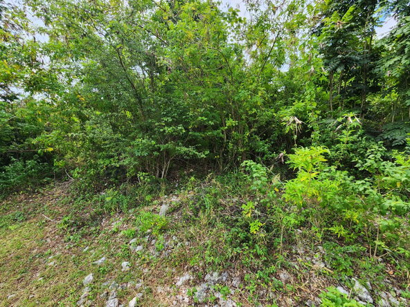 Seventh image of 349 Hillview Terrace in Williamsfield, Manchester, Jamaica - property is For Sale