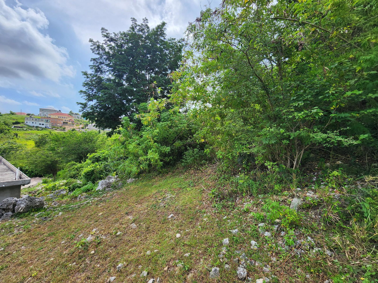 Eighth image of 349 Hillview Terrace in Williamsfield, Manchester, Jamaica - property is For Sale