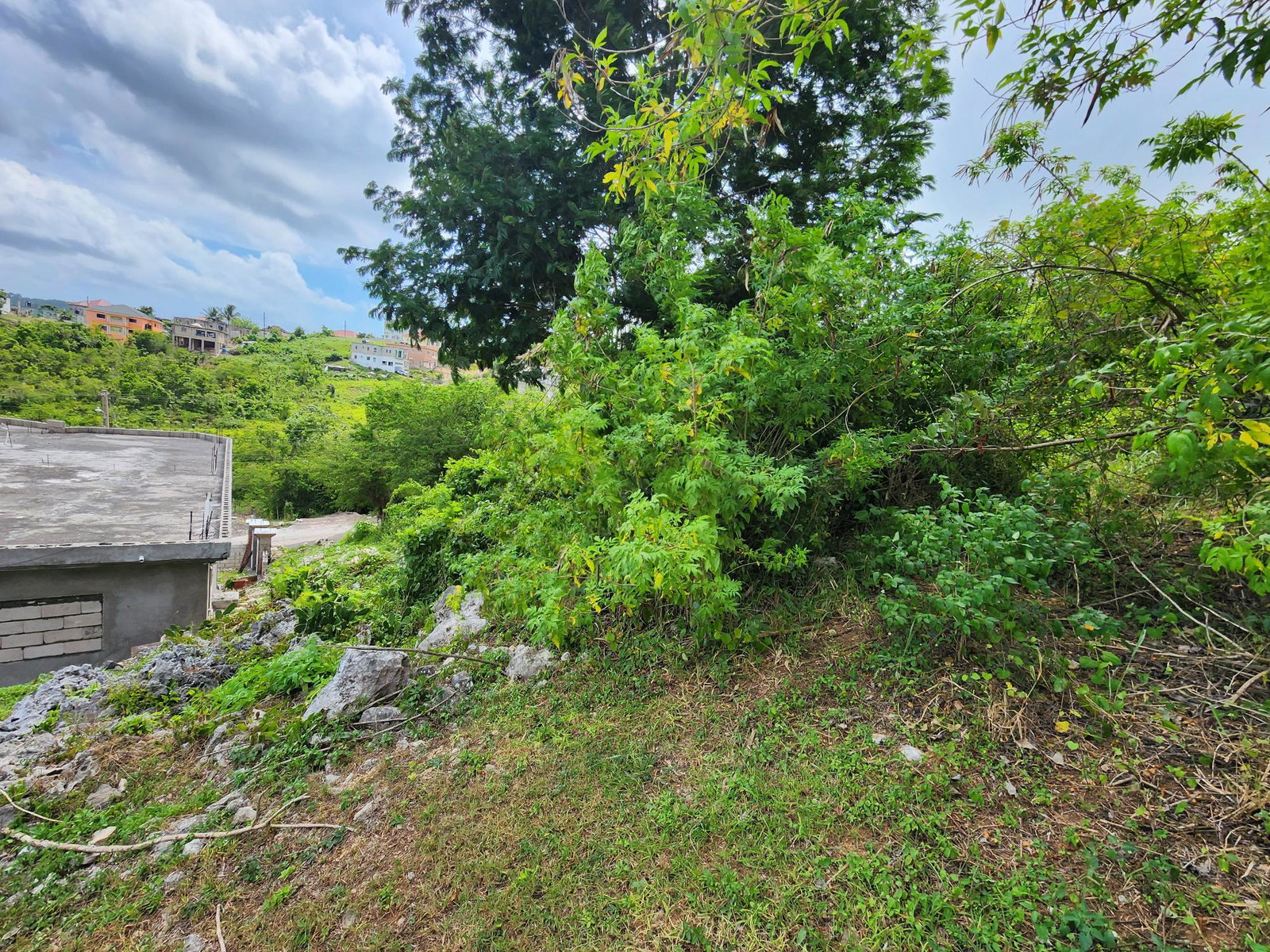 Ninth image of 349 Hillview Terrace in Williamsfield, Manchester, Jamaica - property is For Sale