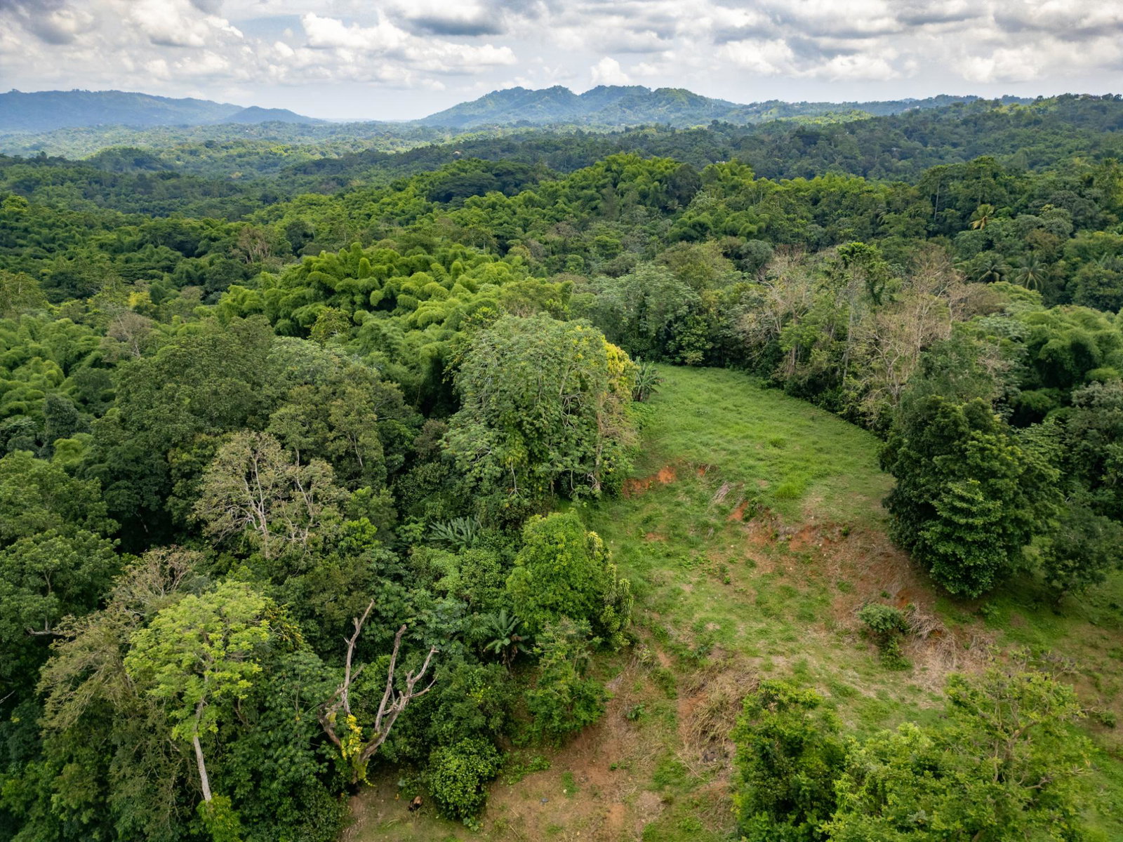 Second image of Salisbury Plain in Salisbury Plain P.A., St. Andrew, Jamaica - property is For Sale