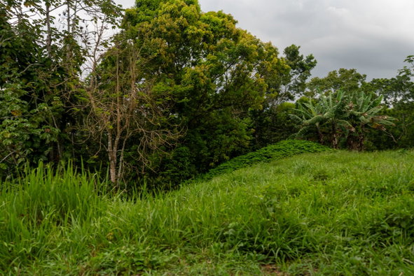 Twenty-Third image of Salisbury Plain in Salisbury Plain P.A., St. Andrew, Jamaica - property is For Sale