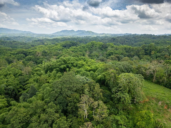 Fourth image of Salisbury Plain in Salisbury Plain P.A., St. Andrew, Jamaica - property is For Sale