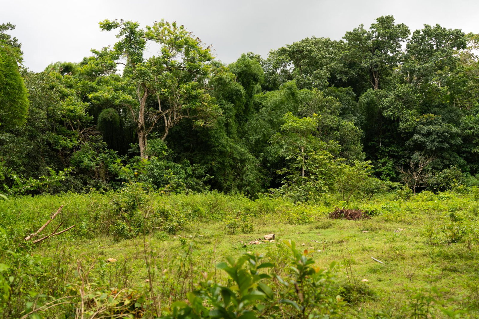Ninth image of Salisbury Plain in Salisbury Plain P.A., St. Andrew, Jamaica - property is For Sale