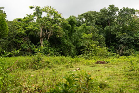 Ninth image of Salisbury Plain in Salisbury Plain P.A., St. Andrew, Jamaica - property is For Sale