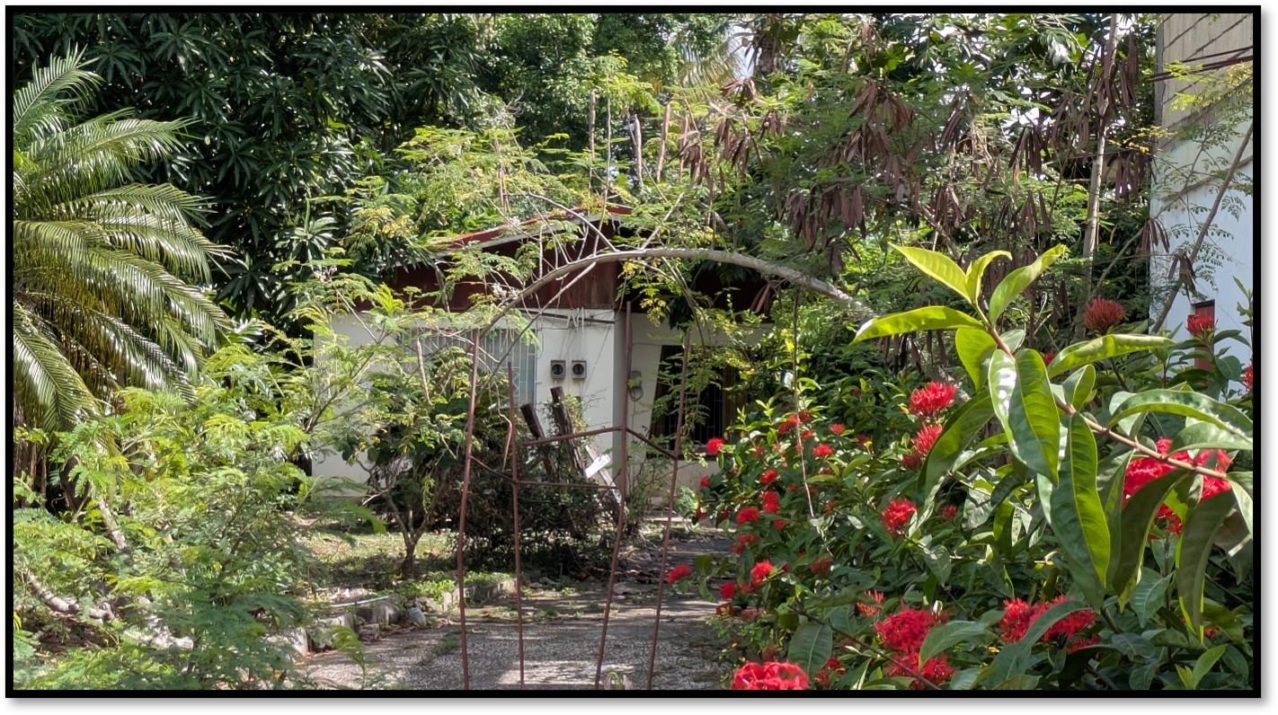 Third image of Lot 109d Part of Denbigh in Denbigh, Clarendon, Jamaica - property is For Sale