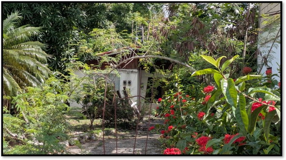 Third image of Lot 109d Part of Denbigh in Denbigh, Clarendon, Jamaica - property is For Sale