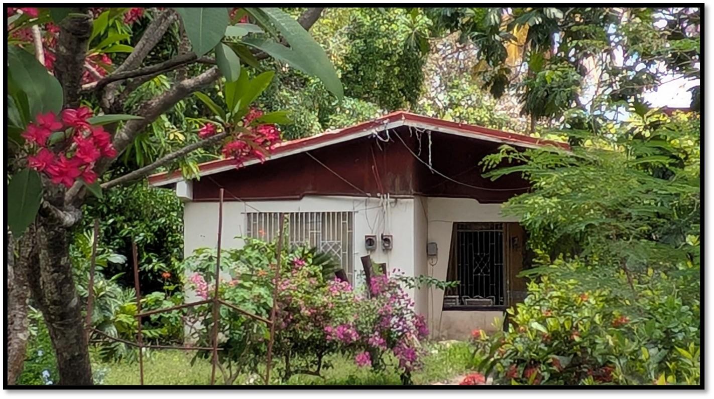 Fourth image of Lot 109d Part of Denbigh in Denbigh, Clarendon, Jamaica - property is For Sale
