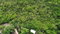 First image of Ratcliffe Park in Spanish Town, St. Catherine, Jamaica - property is For Sale