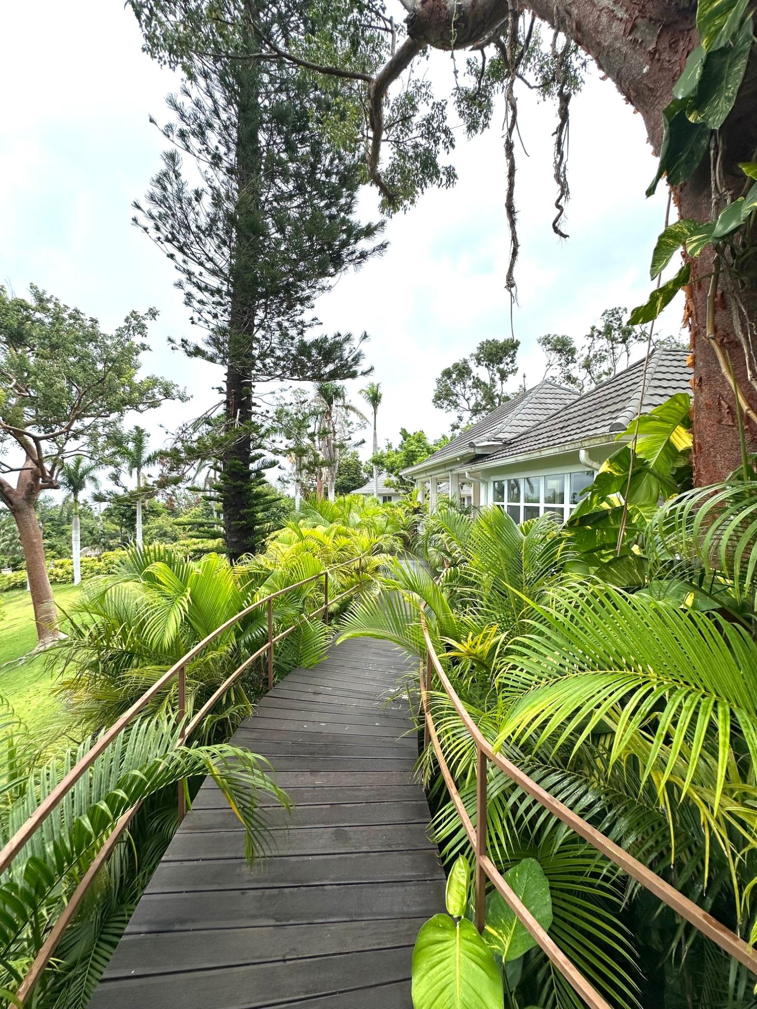Fourteenth image of Lot 21- Spring Estate in Montego Bay, St. James, Jamaica - property is For Rent