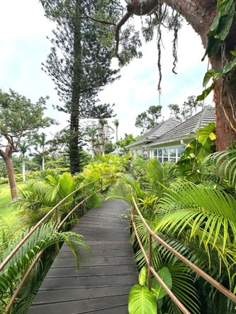 Fourteenth image of Lot 21- Spring Estate in Montego Bay, St. James, Jamaica - property is For Rent