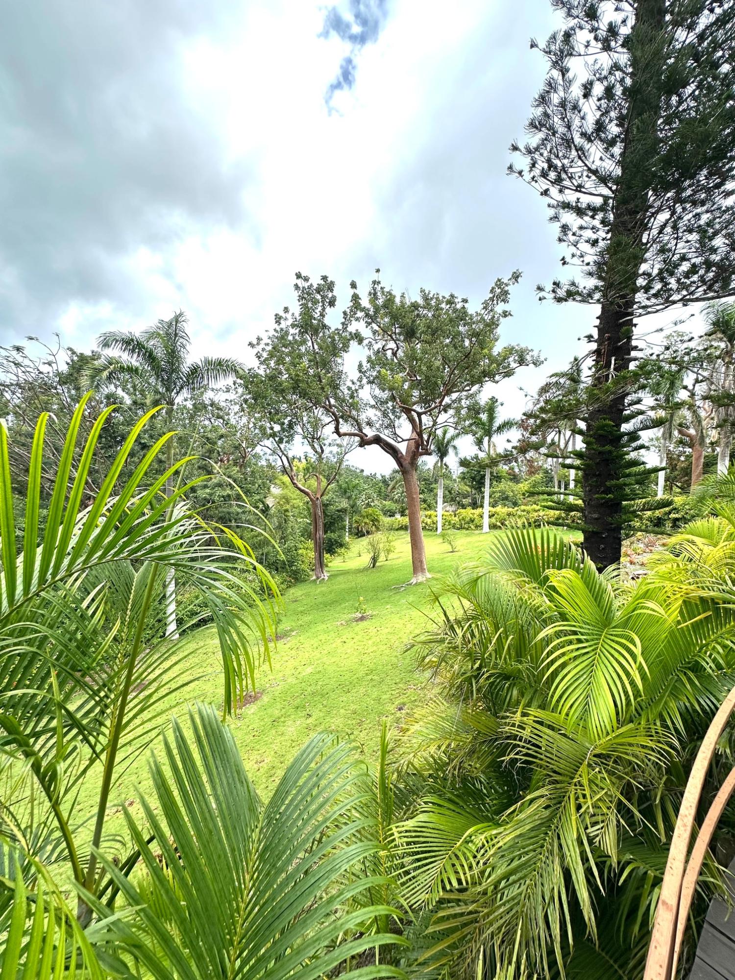 Fifteenth image of Lot 21- Spring Estate in Montego Bay, St. James, Jamaica - property is For Rent