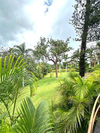 Fifteenth image of Lot 21- Spring Estate in Montego Bay, St. James, Jamaica - property is For Rent