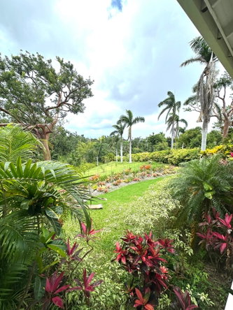 Sixteenth image of Lot 21- Spring Estate in Montego Bay, St. James, Jamaica - property is For Rent