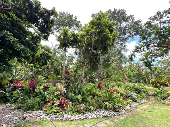 Twenty-Fifth image of Lot 21- Spring Estate in Montego Bay, St. James, Jamaica - property is For Rent