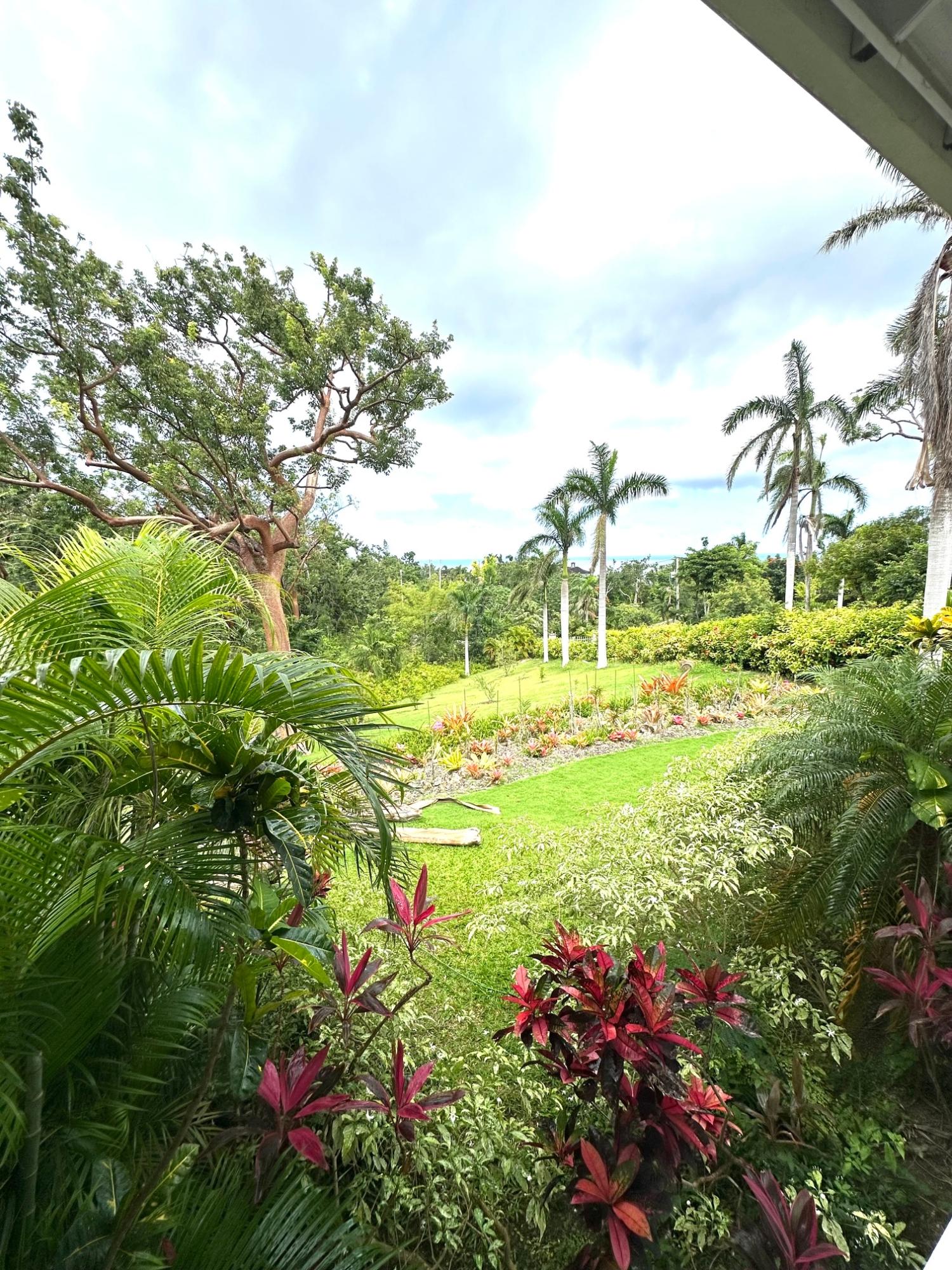 Sixth image of Lot 21- Spring Estate in Montego Bay, St. James, Jamaica - property is For Rent