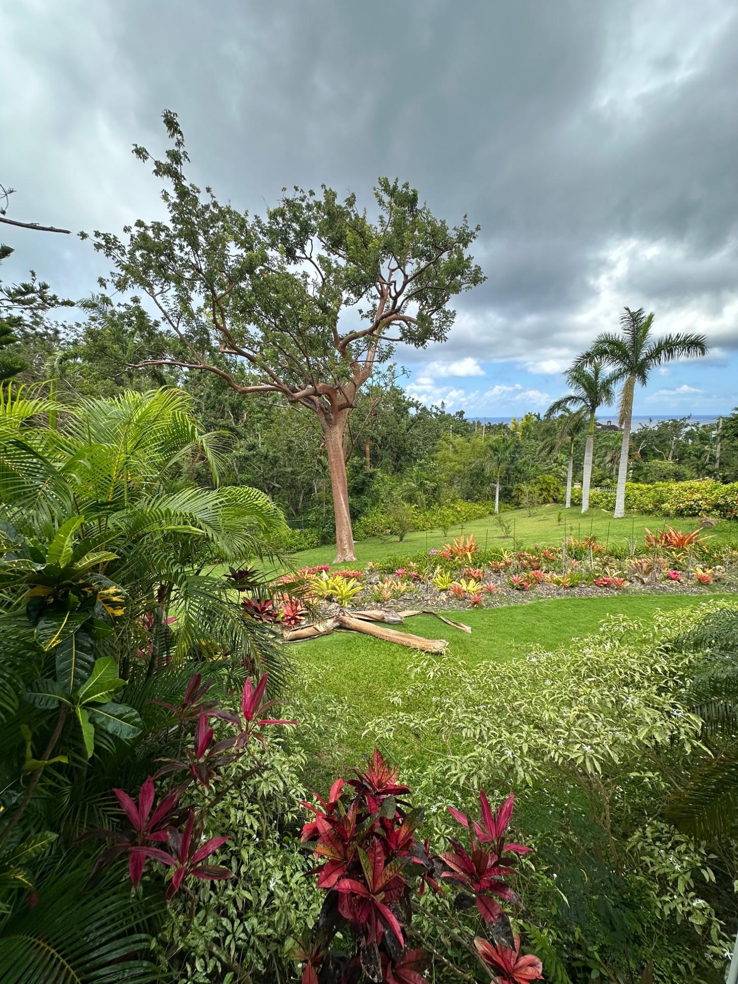 Seventh image of Lot 21- Spring Estate in Montego Bay, St. James, Jamaica - property is For Rent