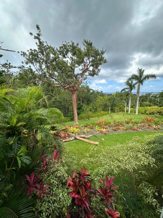 Seventh image of Lot 21- Spring Estate in Montego Bay, St. James, Jamaica - property is For Rent
