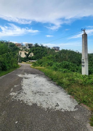Twenty-Ninth image of Lot 310a Sonario Terrace, Orchard in Hopewell, Hanover, Jamaica - property is For Sale