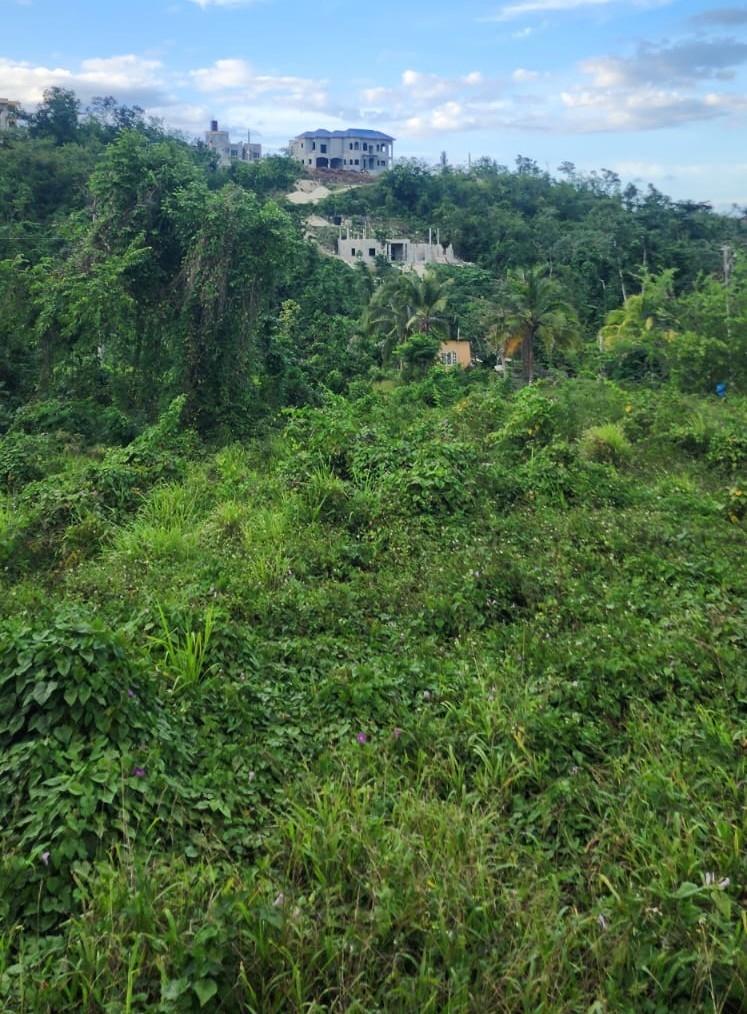 Thirtieth image of Lot 310a Sonario Terrace, Orchard in Hopewell, Hanover, Jamaica - property is For Sale
