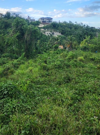 Thirtieth image of Lot 310a Sonario Terrace, Orchard in Hopewell, Hanover, Jamaica - property is For Sale