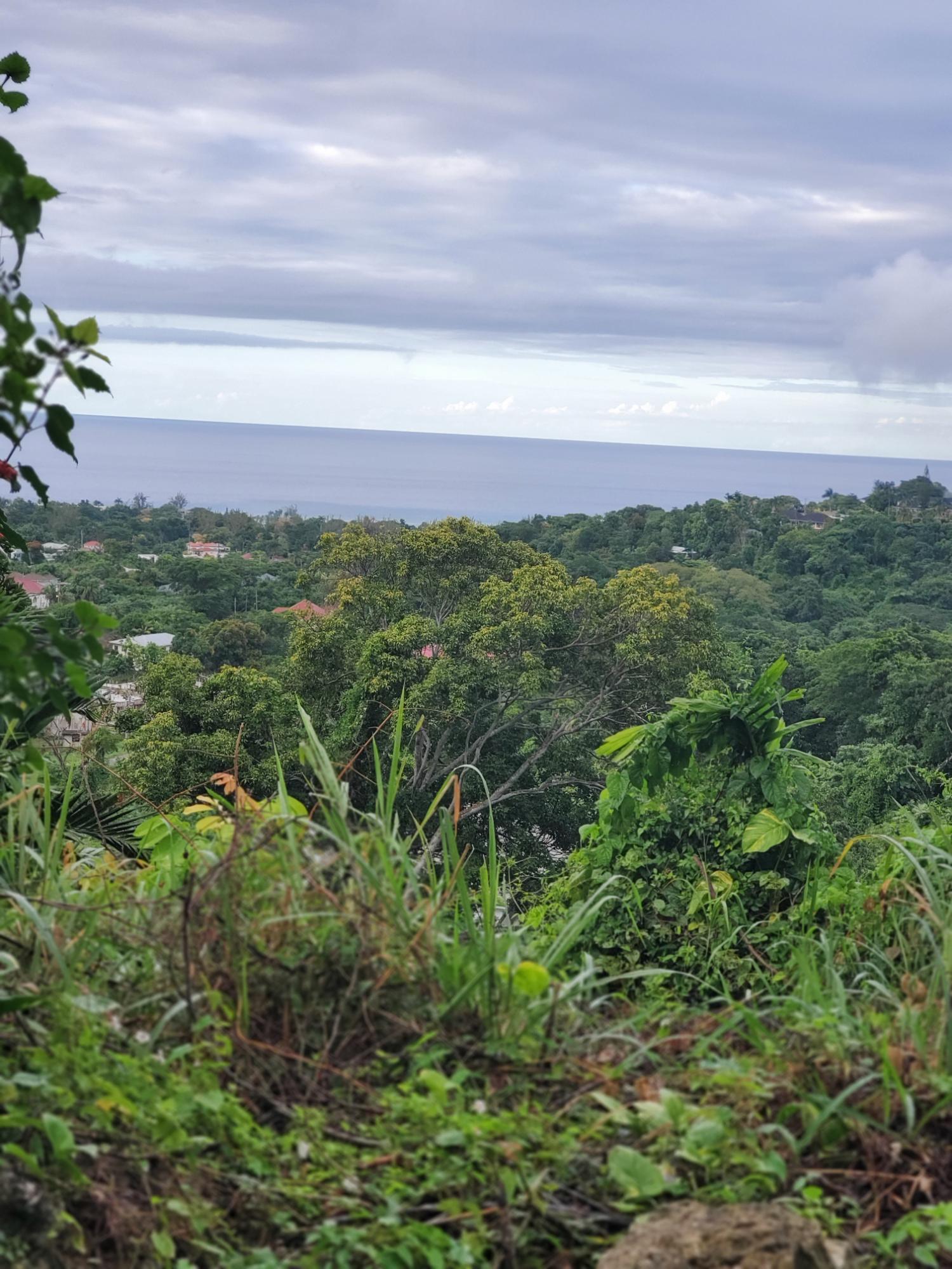 First image of Lot 17 Rose Hill, Cardiff Hall, in Runaway Bay, St. Ann, Jamaica - property is For Sale