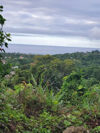 First image of Lot 17 Rose Hill, Cardiff Hall, in Runaway Bay, St. Ann, Jamaica - property is For Sale