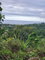 First image of Lot 17 Rose Hill, Cardiff Hall, in Runaway Bay, St. Ann, Jamaica - property is For Sale