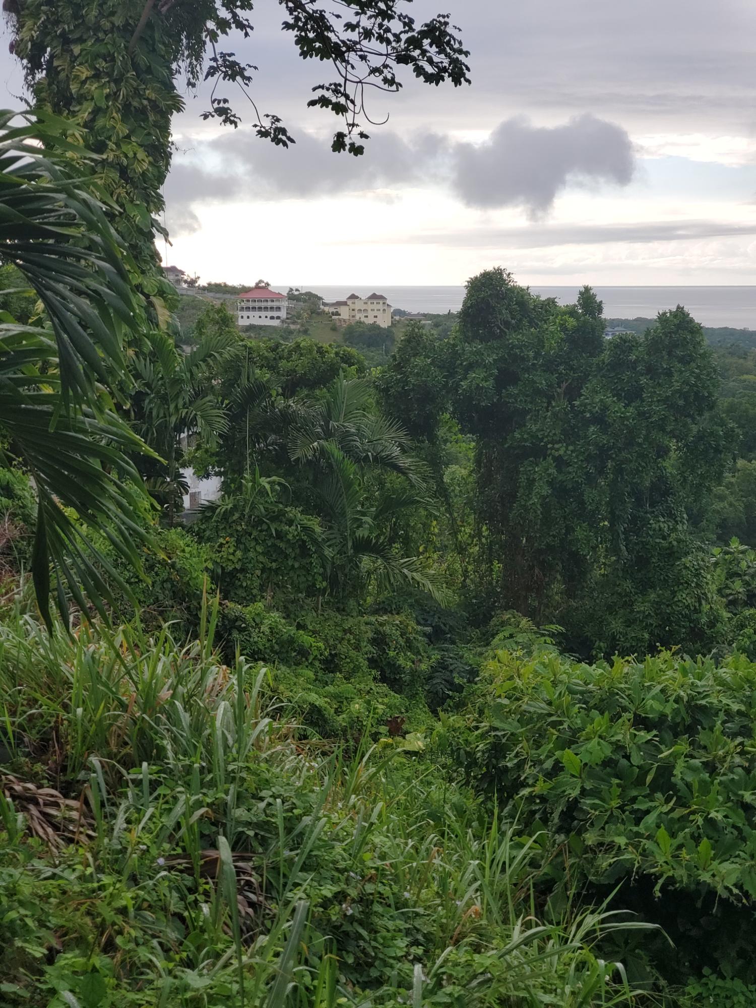 Second image of Lot 17 Rose Hill, Cardiff Hall, in Runaway Bay, St. Ann, Jamaica - property is For Sale