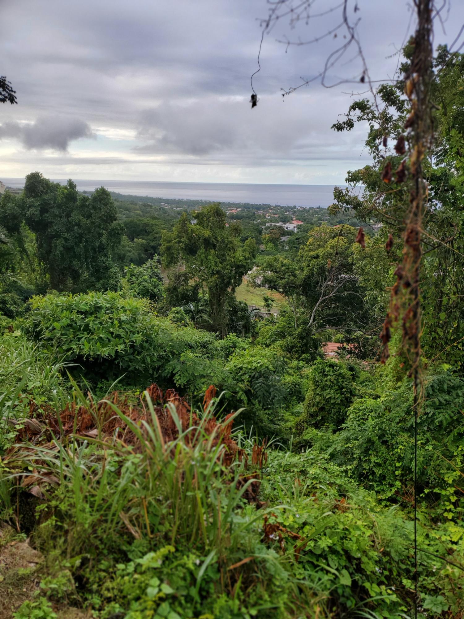 Fourth image of Lot 17 Rose Hill, Cardiff Hall, in Runaway Bay, St. Ann, Jamaica - property is For Sale