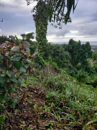 Fifth image of Lot 17 Rose Hill, Cardiff Hall, in Runaway Bay, St. Ann, Jamaica - property is For Sale